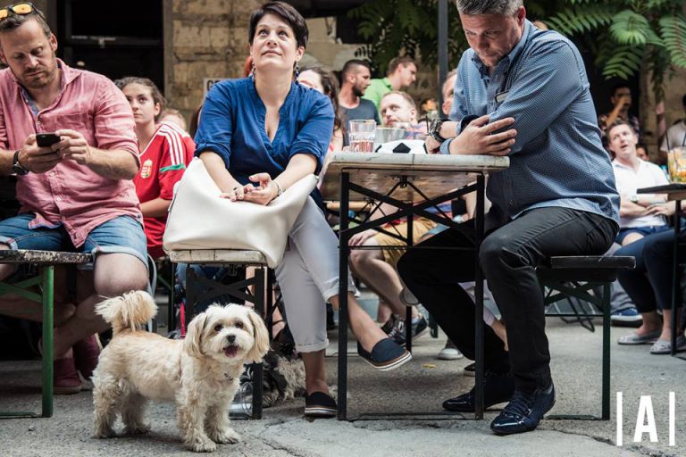 Az Anker’tben te és az ebed is barátságos fogadtatásban részesültök