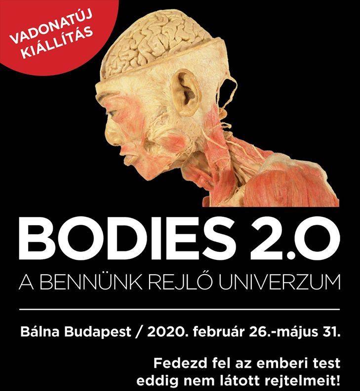 Hétvégi programok Budapesten: Bodies kiállítás