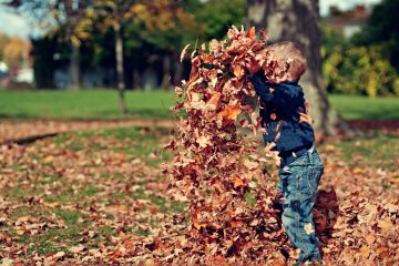 child-friendly fall Budapest