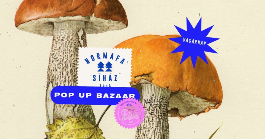 Programok a halloweenen túl: Pop Up Bazaar - Normafa Síház 