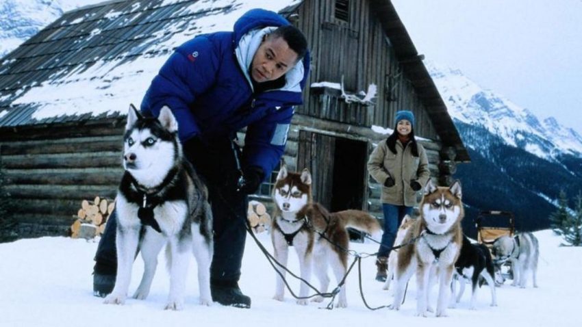 Legjobb családi filmek téli estékre: Kutyabajnok