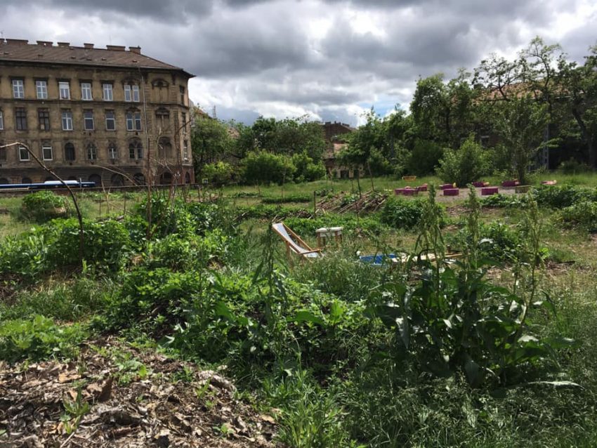 Tavaszköszöntő buli a Szeszgyár-kertben