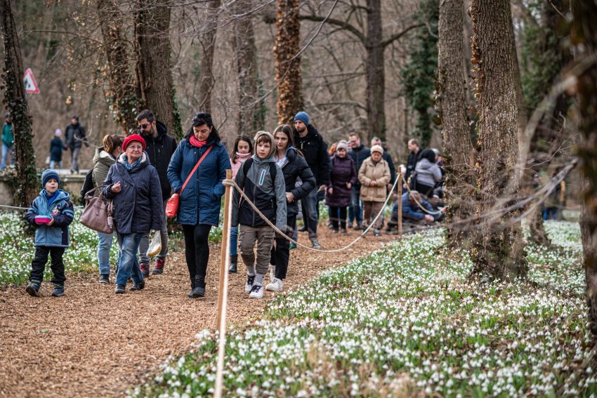 Szabadtéri programok Budapesten és környékén