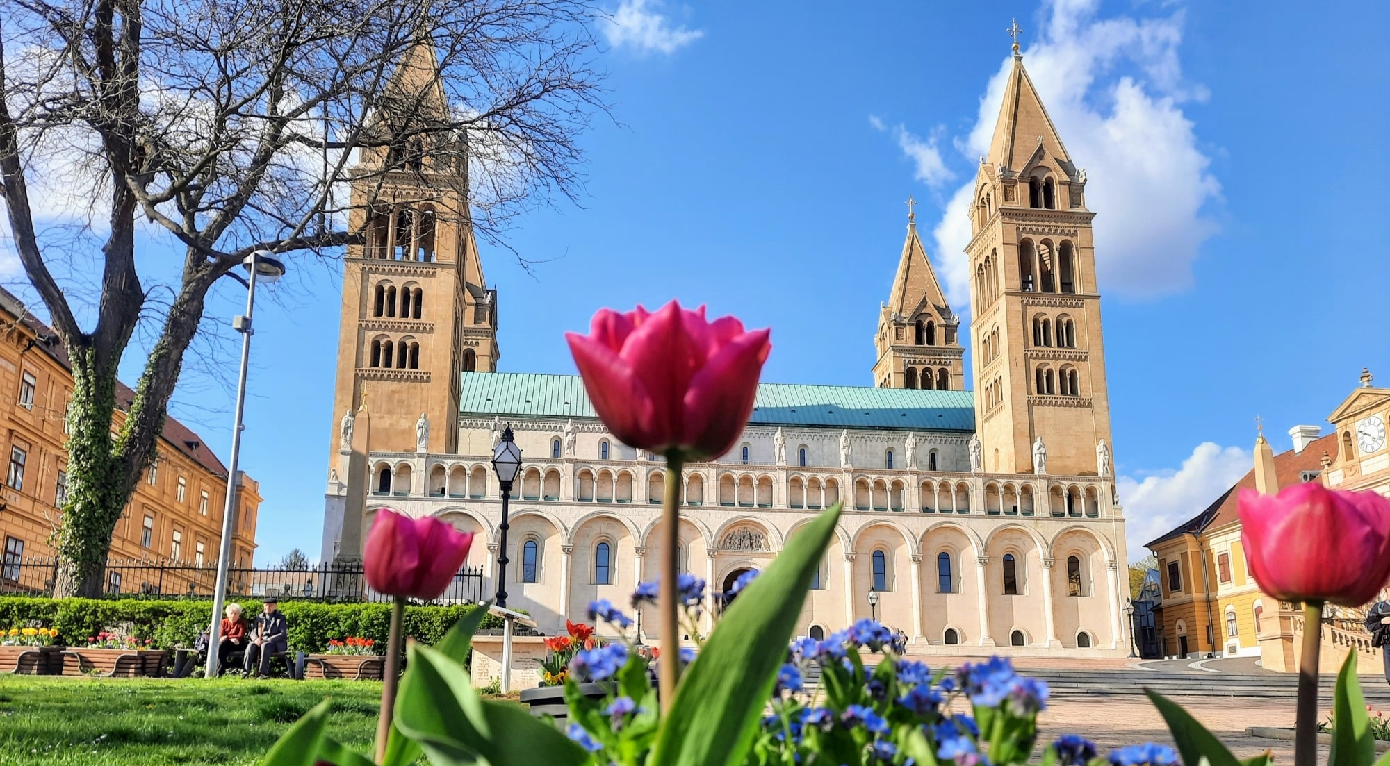 Rügyező fák és színes virágok lepték el Pécs mediterrán hangulatú városát