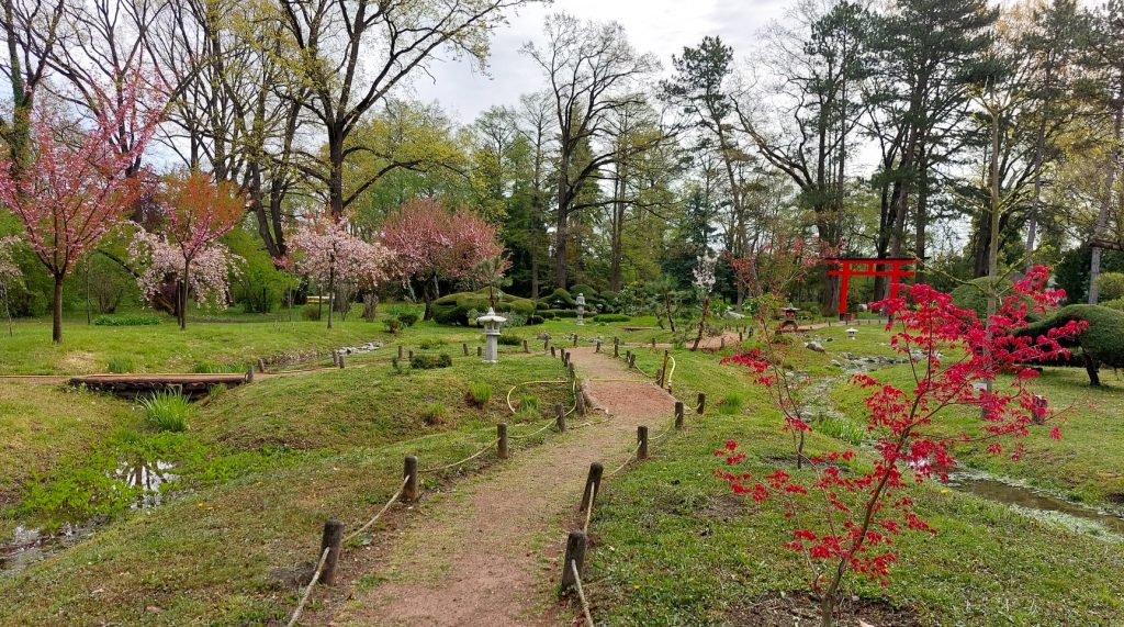 7 elbűvölő botanikus kert hazánkban, ami lélegzetelállító tavasszal