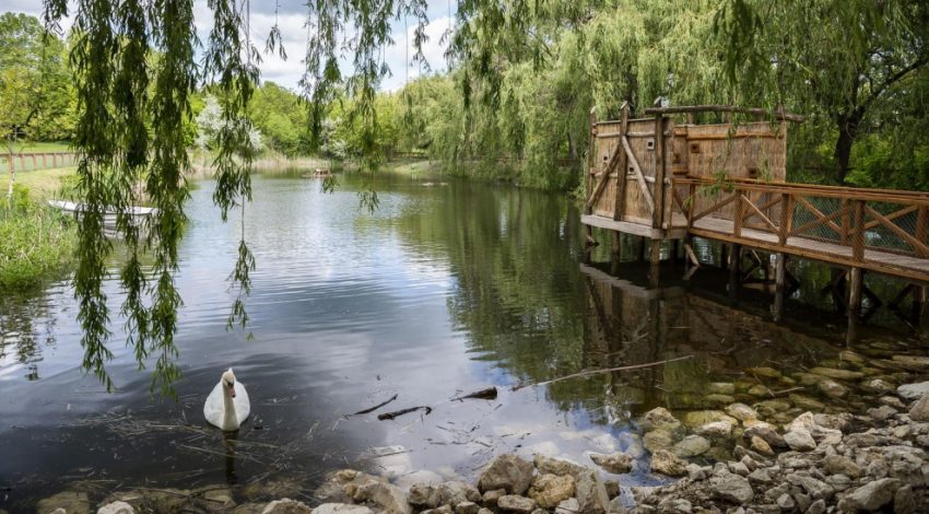 Budapest közeli kirándulóhelyek nyárra: Pákozd-Sukorói Arborétum és Vadaspark
