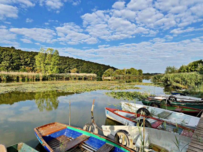 Balaton déli part látnivalók gyerekkel: Deseda-tó és arborétum