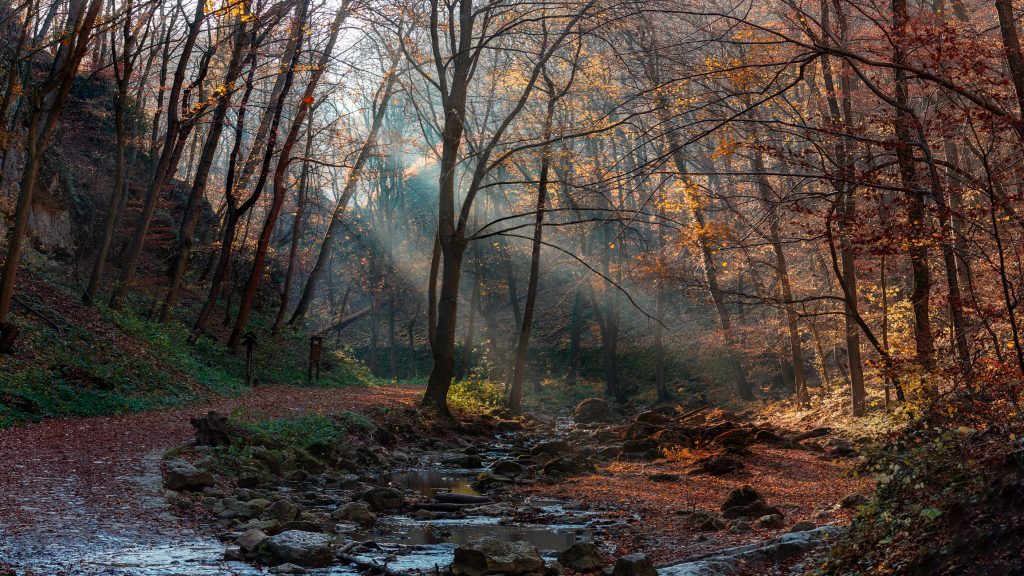 8 lélegzetelállító völgy hazánkban, ami csodálatos színekben pompázik ősszel