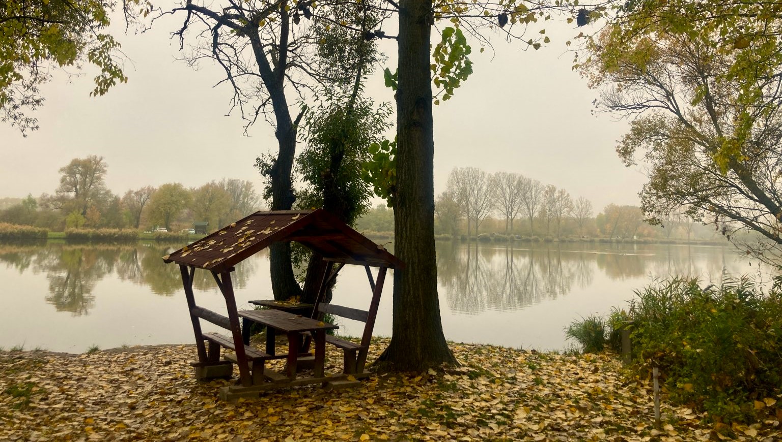 Igazi őszi csodahelyek között kanyarog a páratlan sétaútvonal Budapesttől nem messze