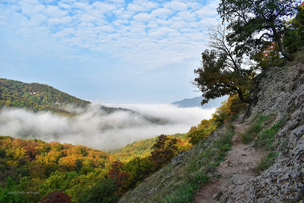 15 kihagyhatatlan kirándulóhely a Dunakanyarban, mely ősszel is csodálatos