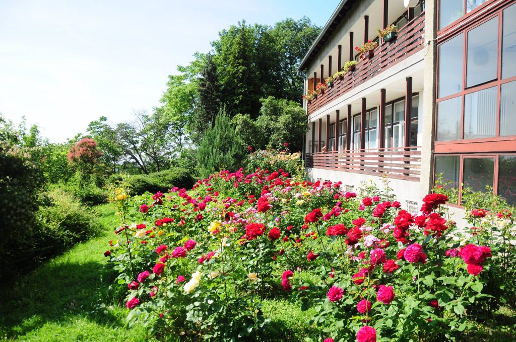 27 virágba borult kert és arborétum Budapesten és környékén, ahol ...