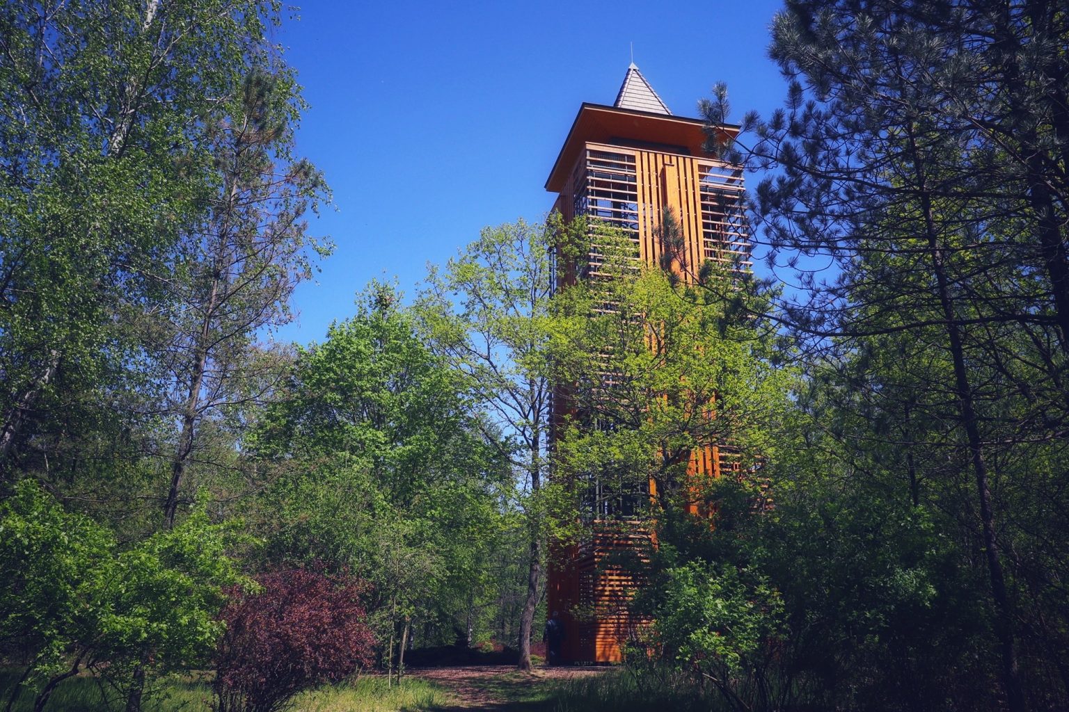 11 elbűvölő arborétum hazánkban, mely kora tavaszi sétára invitál