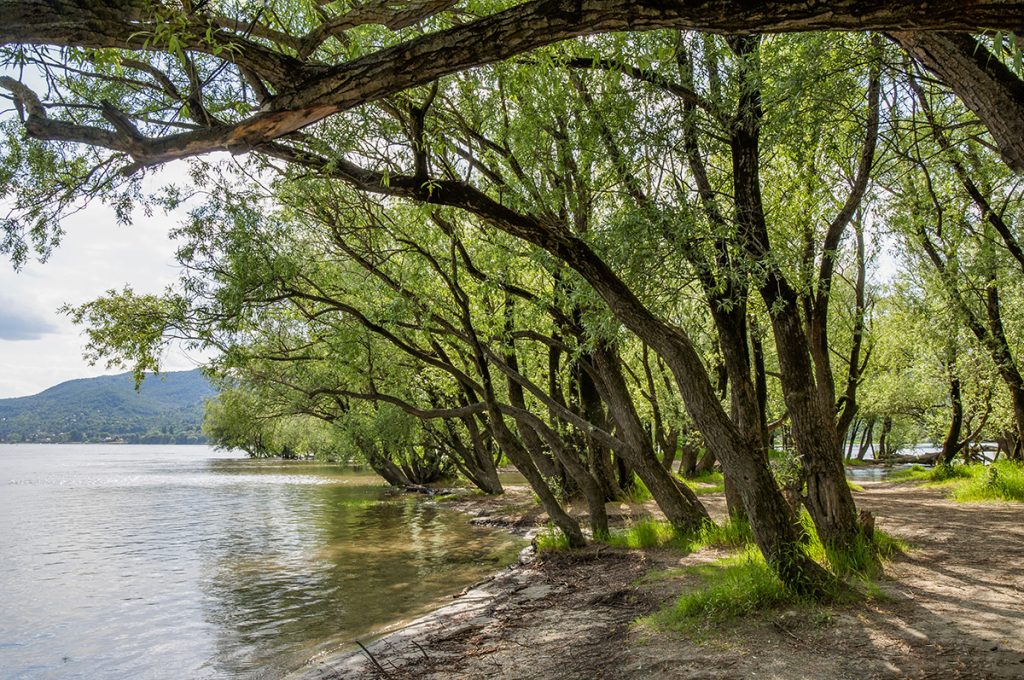 Duna parti kemping, vadkempind, szabadstrand