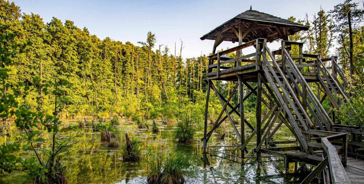 11 vadregényes vízi tanösvény hazánkban hűsítő nyári kirándulásokhoz