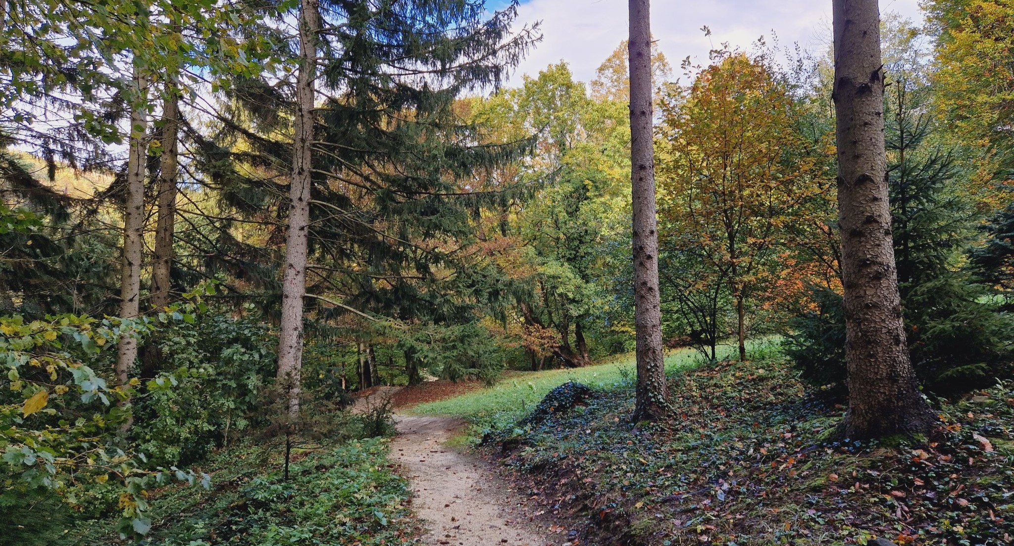 Séta az őszi erdőben: Pest vármegye 5 legszebb ösvénye