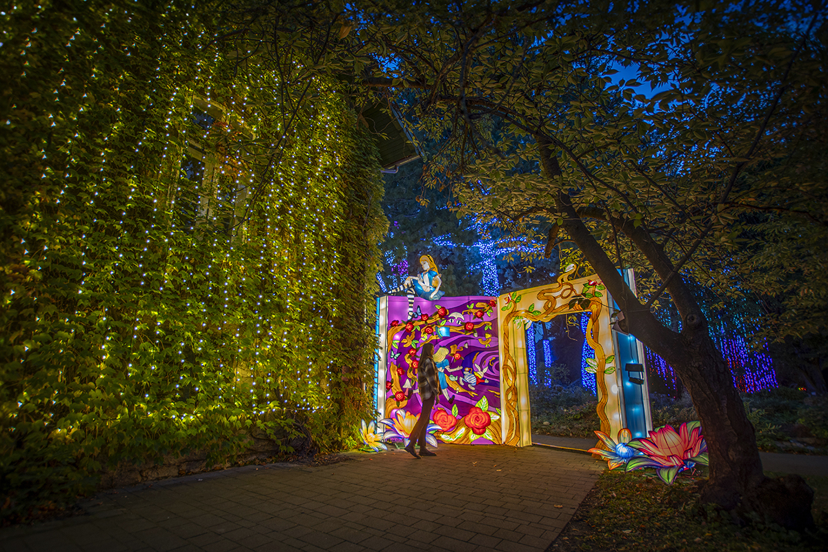 Csodaország beköltözött a Füvészkertbe: Megnyitott a Garden of Lights