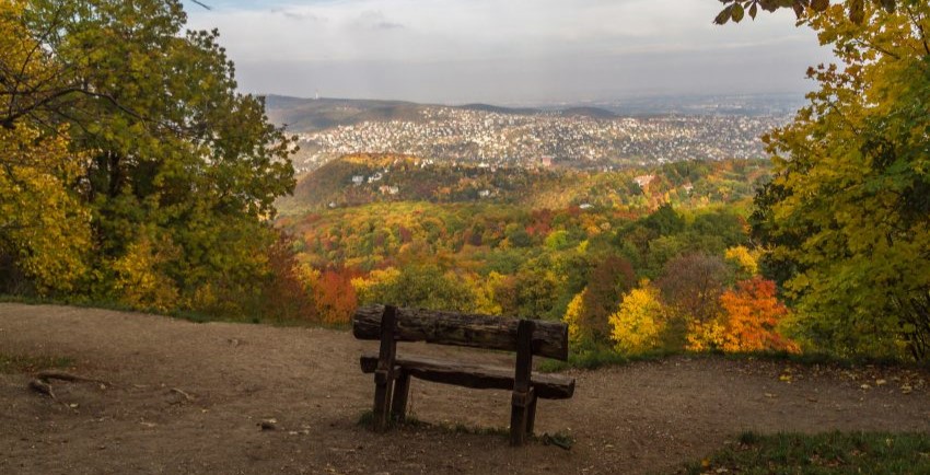 Budapest őszi arca: 6 hely a városban, ahol színes falevelek és őszi táj vár