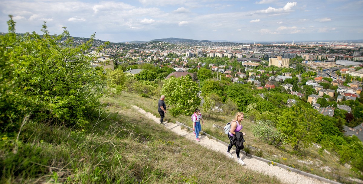 21 bámulatos panorámapont tavaszra Budapesten és környékén, ahol lenyűgöző kilátás fogad