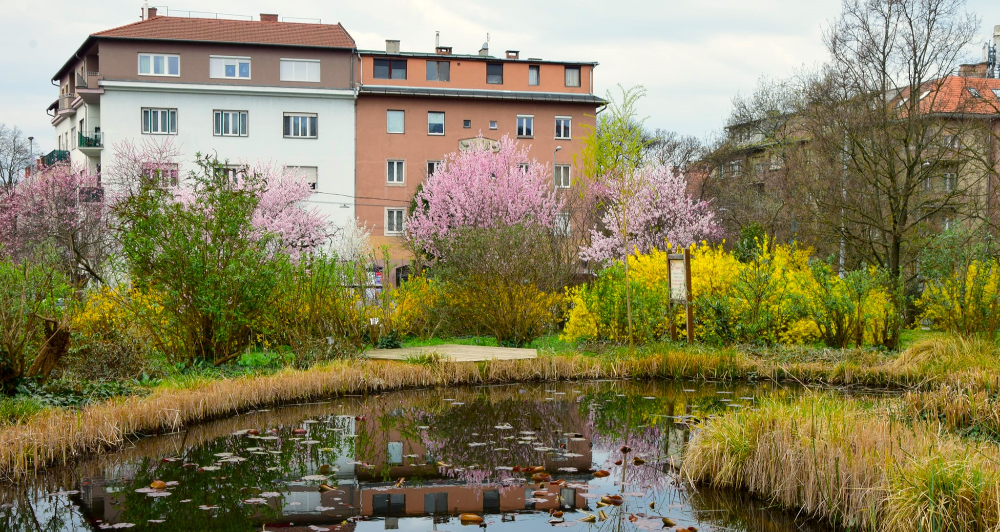 Virágos Budapest: 5 virágba borult arborétum és botanikus kert a fővárosban