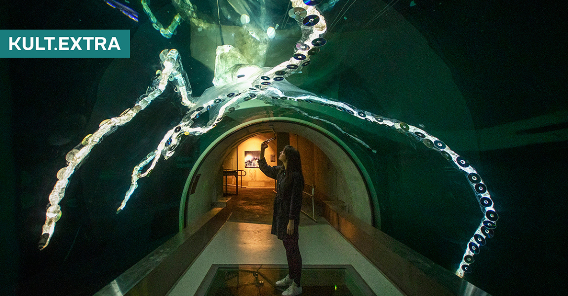 Fényvarázs az üvegkupola alatt: Rendkívüli fénykiállítás nyílt Budapest ikonikus helyszínén