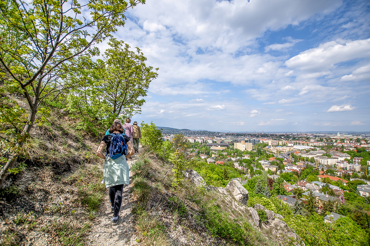 Budapest's Scenic Gems: 6 Breathtaking Viewpoints for Your Spring Day Out