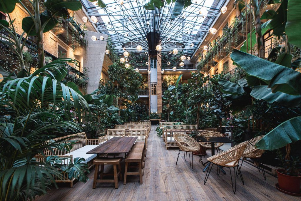 Dzsungelhangulat a fővárosban: 7 étterem Budapesten, melyet zöld oázis ölel körbe
