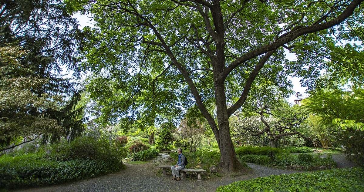 Mintha nem is Budapesten járnál: 5 különleges kert és park, amely távoli tájakat idéz