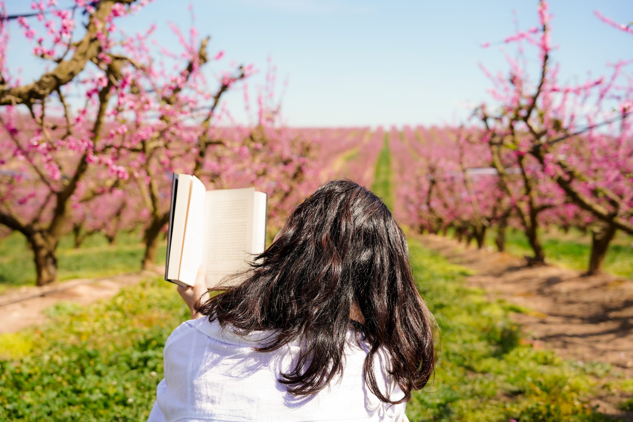 Könyves kedvenceink áprilisban: 7 új olvasmány, ami feldobja a tavaszi napokat