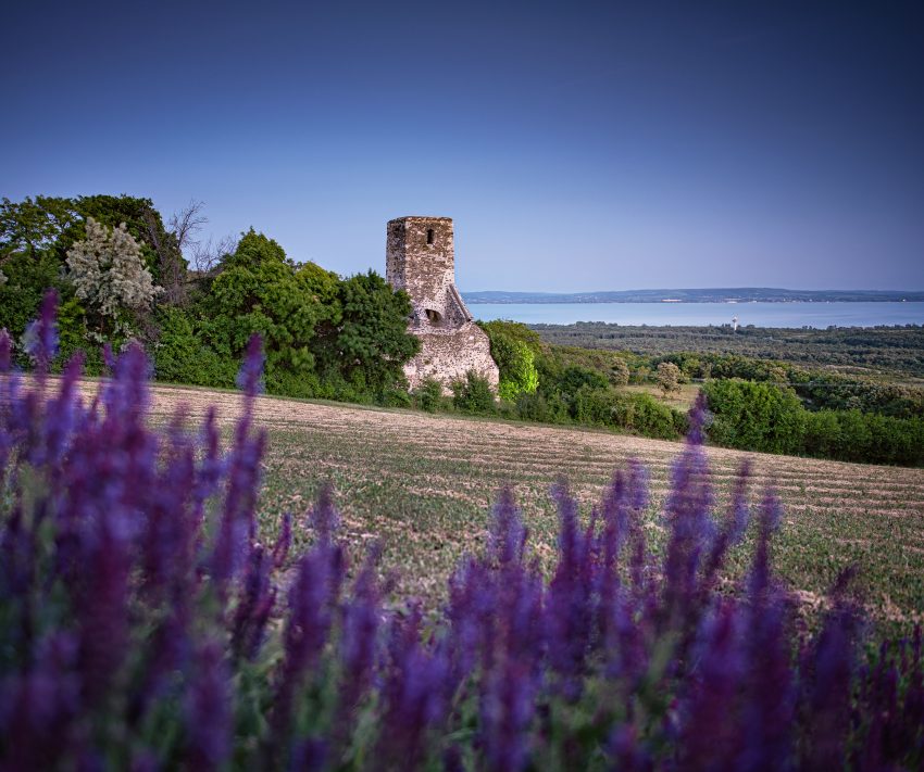 Nivegy-völgy, Balaton-felvidék