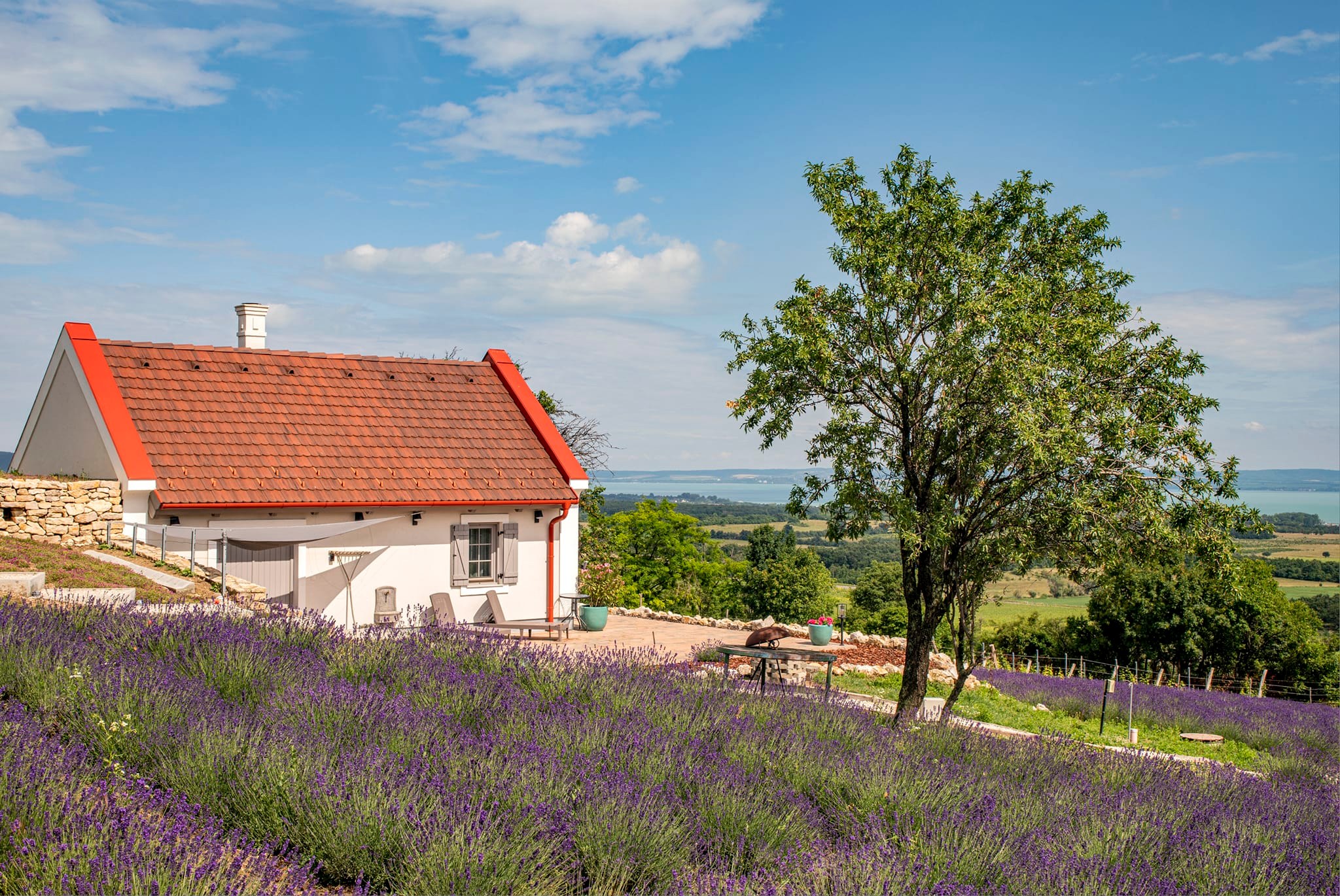 15 illatozó levendulás a Balaton körül, ami tárt karokkal vár 2024 nyarán