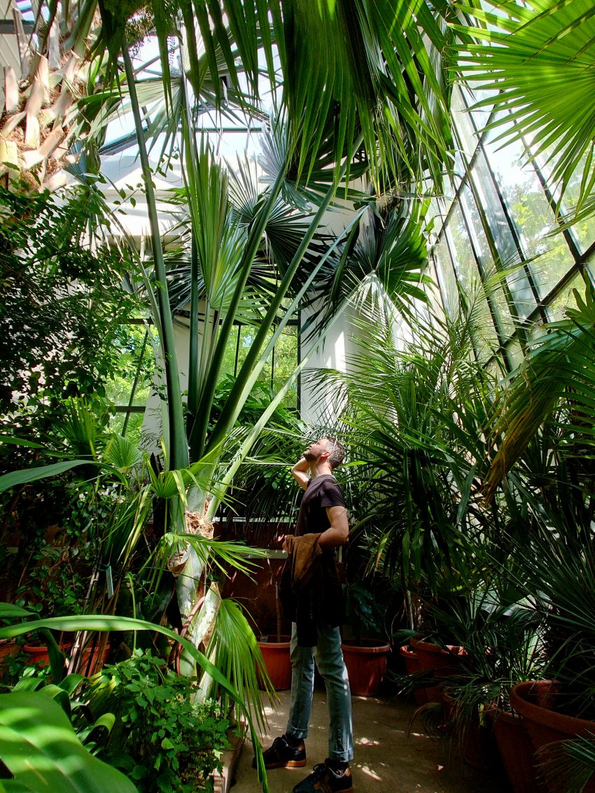 füvészkert budapest