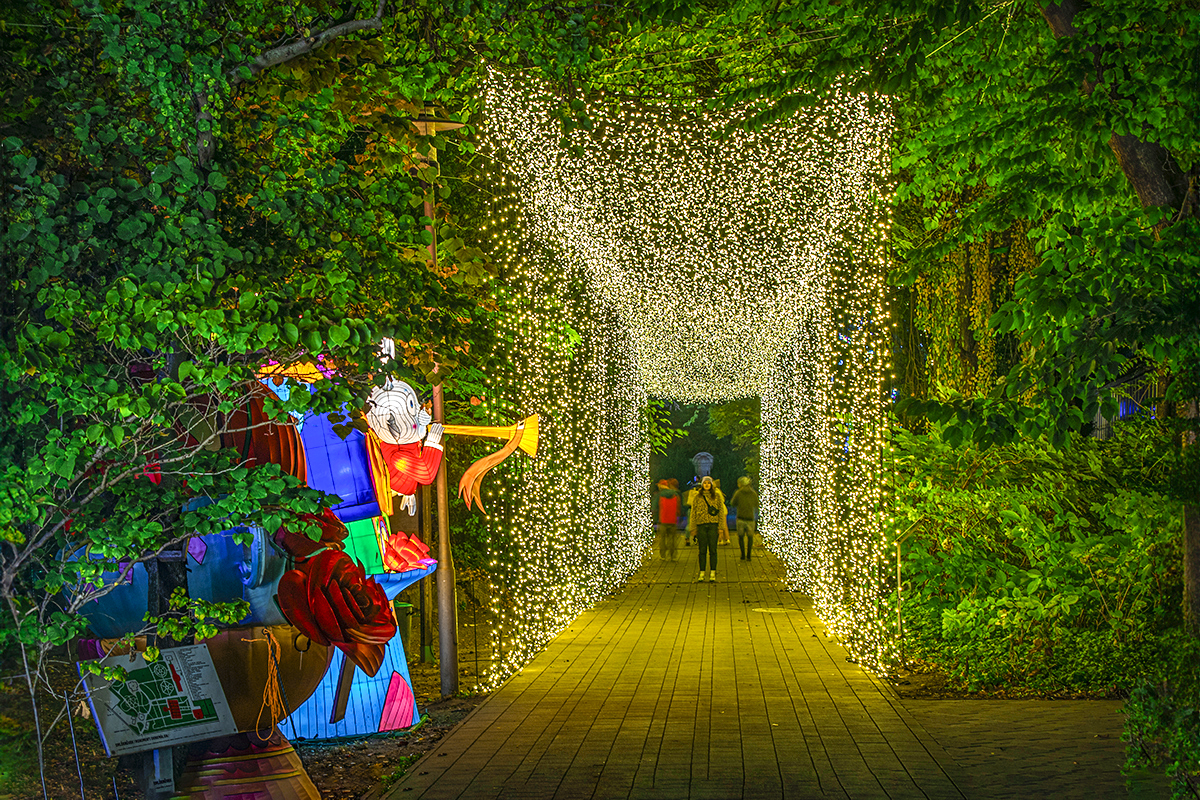 Aprajafalva beköltözik a Füvészkertbe: Idén is lenyűgöző fényinstallációkkal vár a Garden of Lights