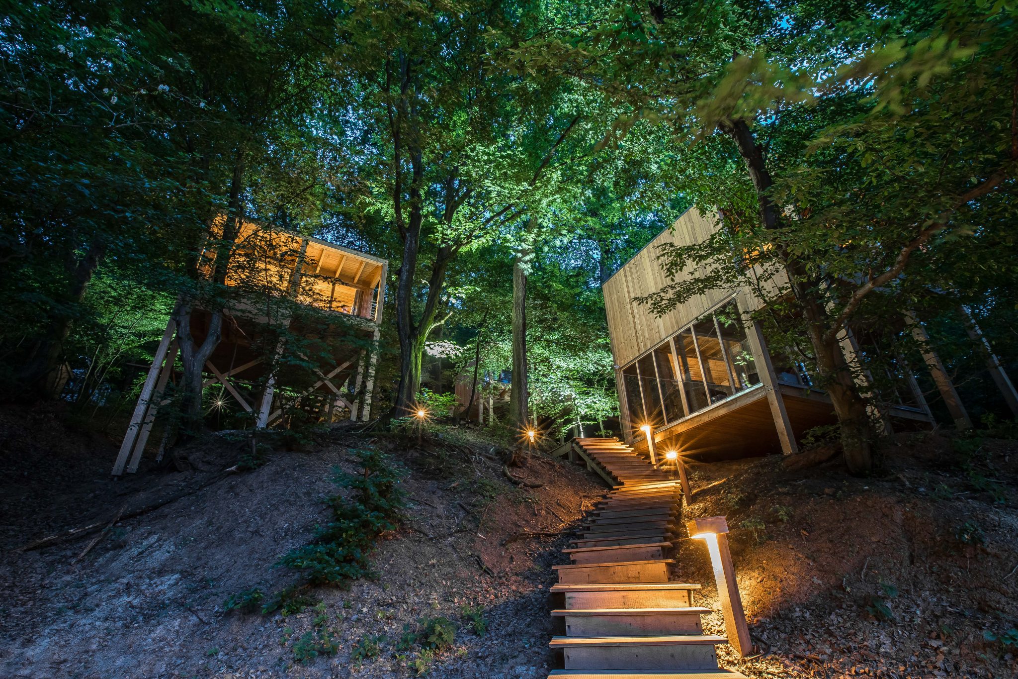 Treehouse Jested Treehouses Noszvaj
