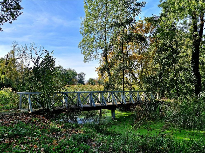 Somogyvári kastélypark