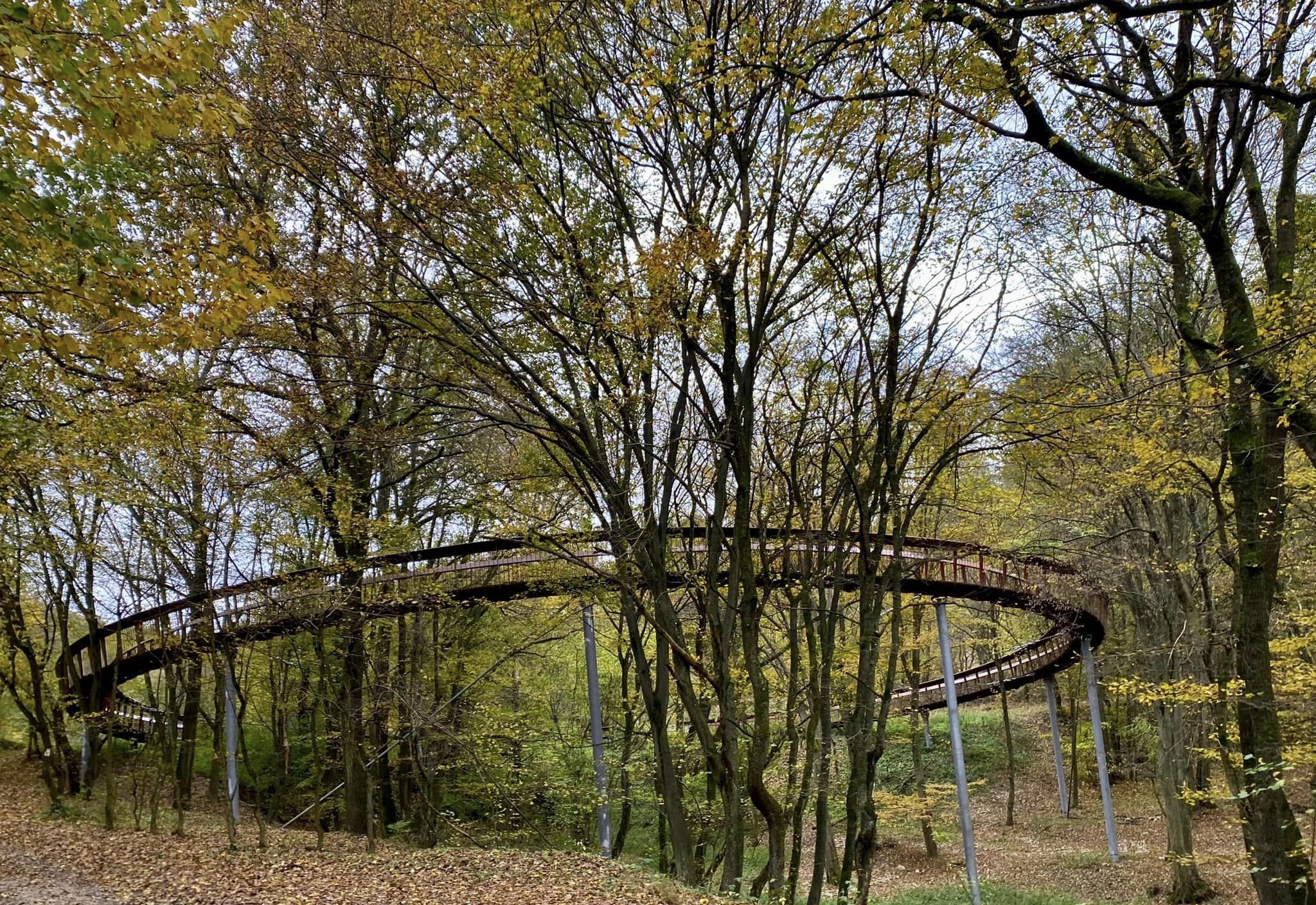 13 gyönyörű lombkoronasétány hazánkban, amin egyszer mindenkinek végig kell sétálnia