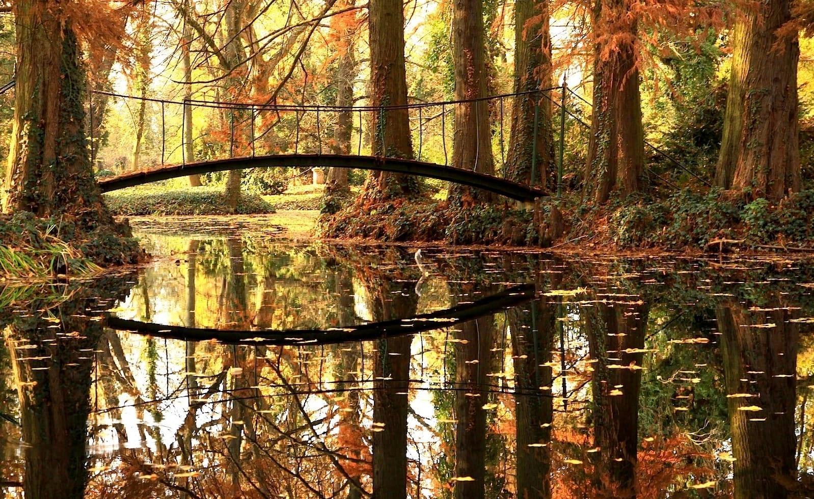 6 festői kastélypark az országban, ahol varázslatos őszi pompában kalandozhatunk