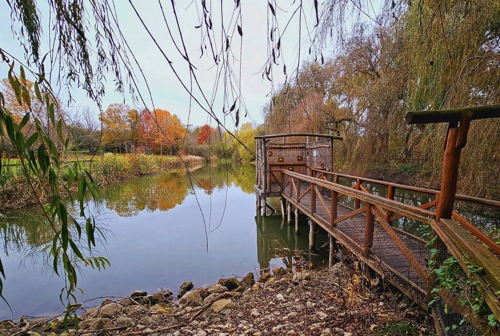 Őszi színekbe burkolózott vadaspark várja a kirándulókat a Velencei-tónál