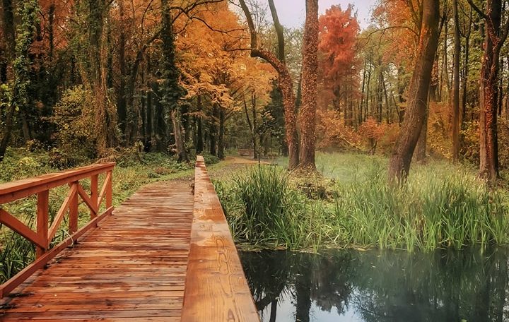 Tündérek vidékén kalauzol végig a Balaton elbűvölő pallósétánya