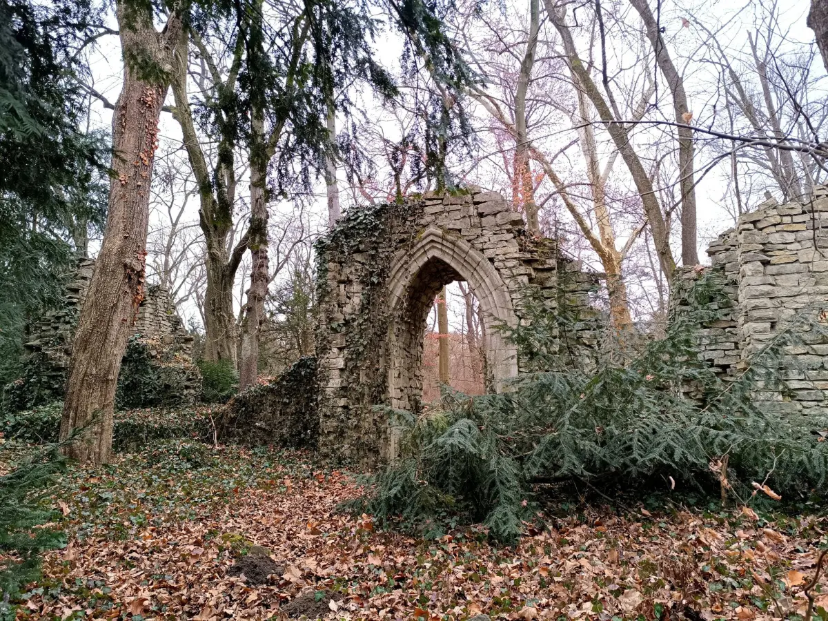 Már mutatkoznak a tavasz első jelei a Budapest közeli arborétumban