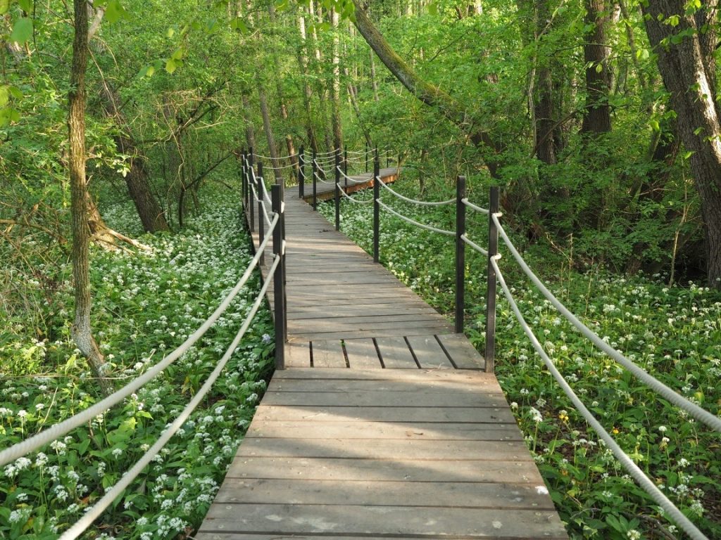 Vízfői tanösvény