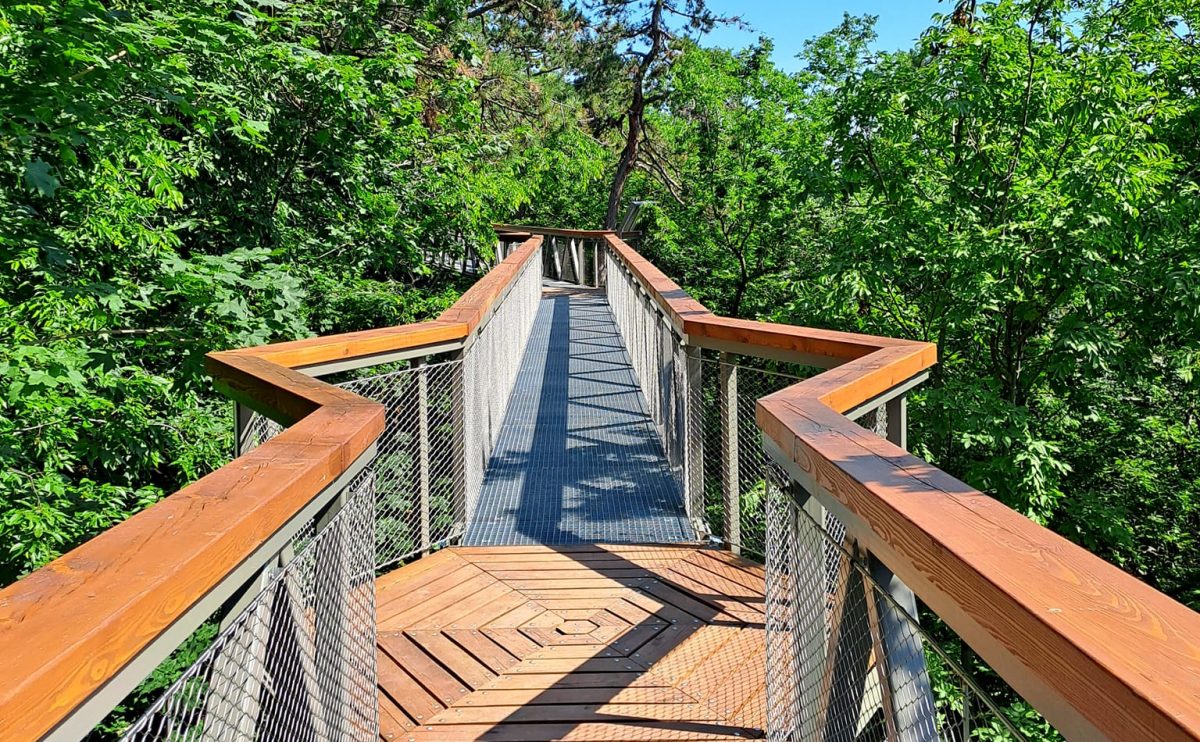 balaton, déli part, nyár, kirándulás