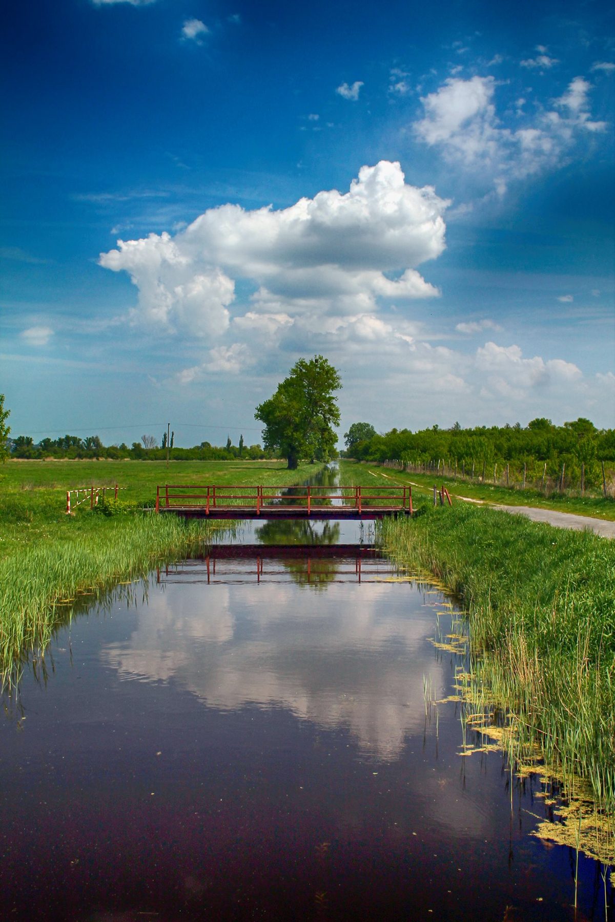 balaton, nyár, déli part, kirándulás