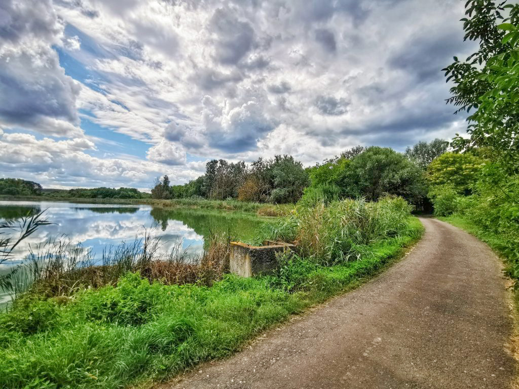 balaton, nyár, kirándulás, déli part