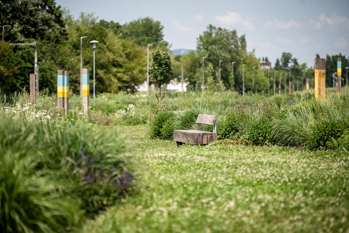 Pünkösdfürdő Park