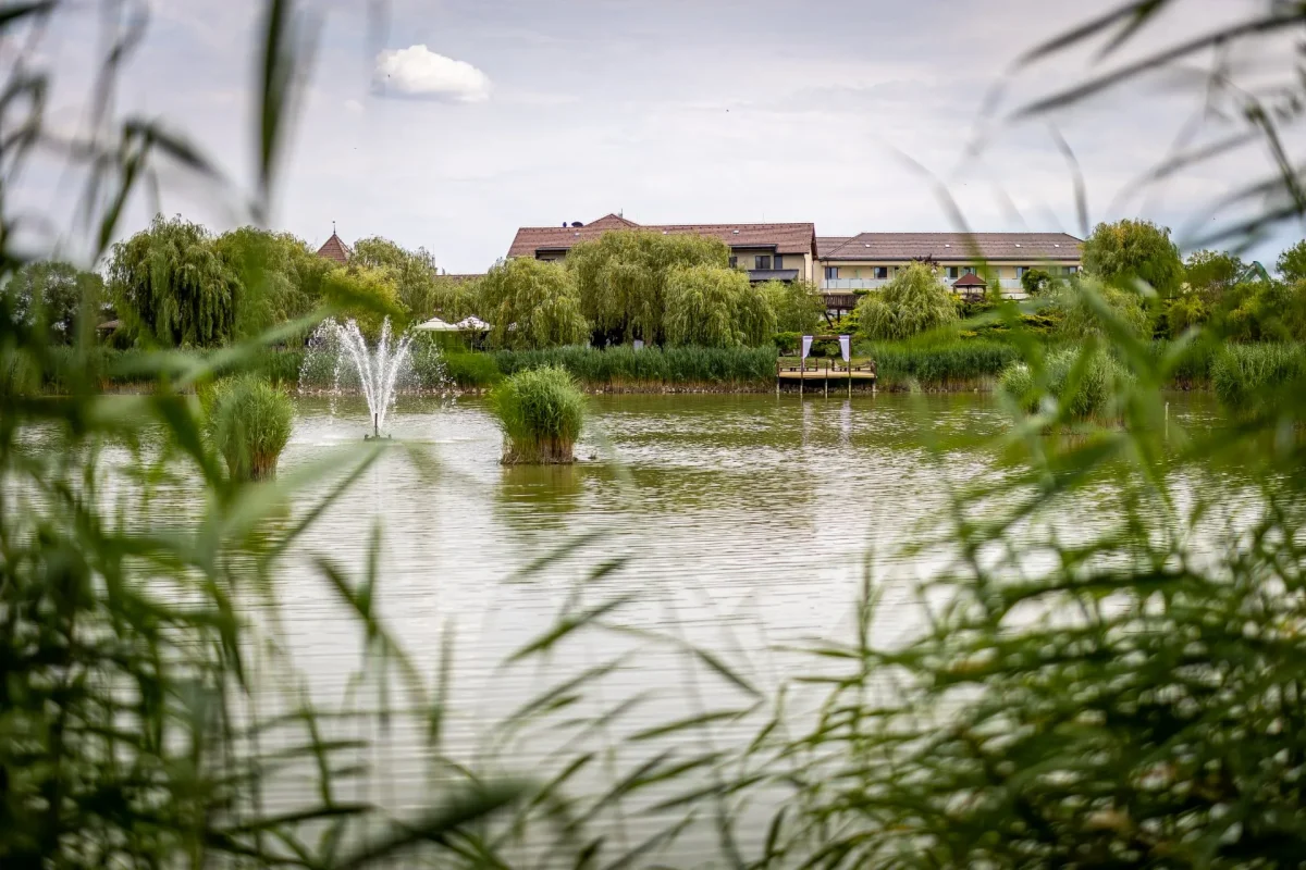 Nádas Pihenőpark