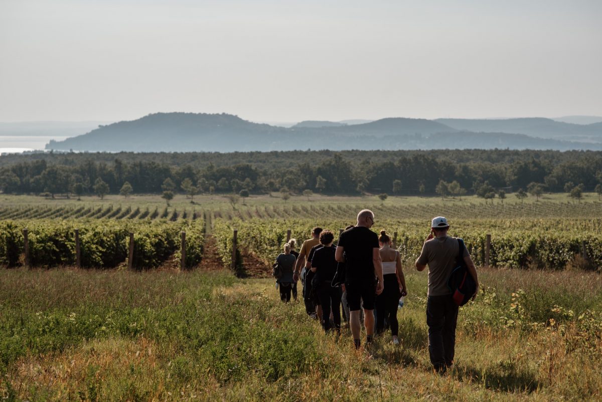 balatoni programajánló, programok, szeptember, ősz, Balaton