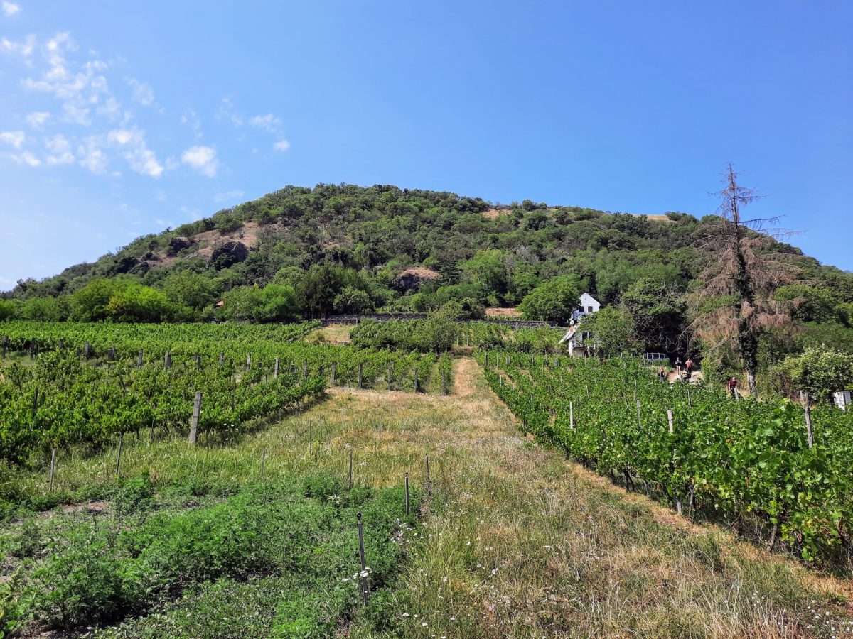 kirándulás, Balaton-felvidék, Balaton, túra, Csobánc