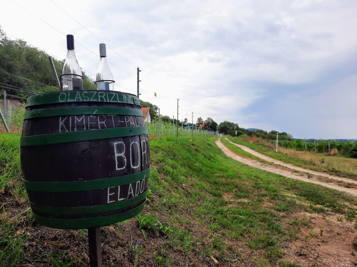 kirándulás, Balaton-felvidék, Balaton, túra, Csobánc