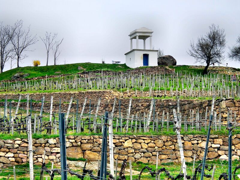 Tokaj, Tokaj-Hegyalja, látnivalók, természeti kincsek, természet, ősz, szeptember, Disznó-kő