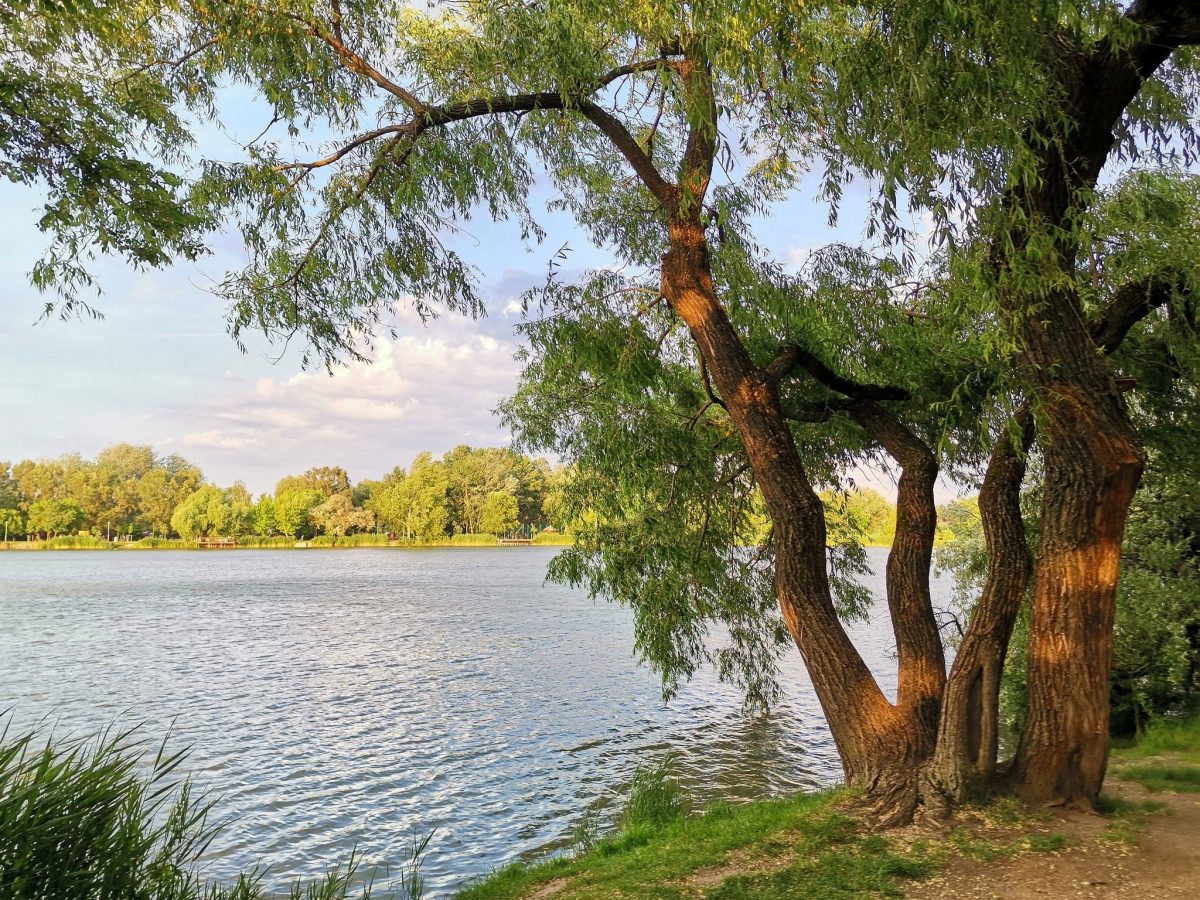 tófürdők, Magyarország, vízpart, legszebb tófürdők